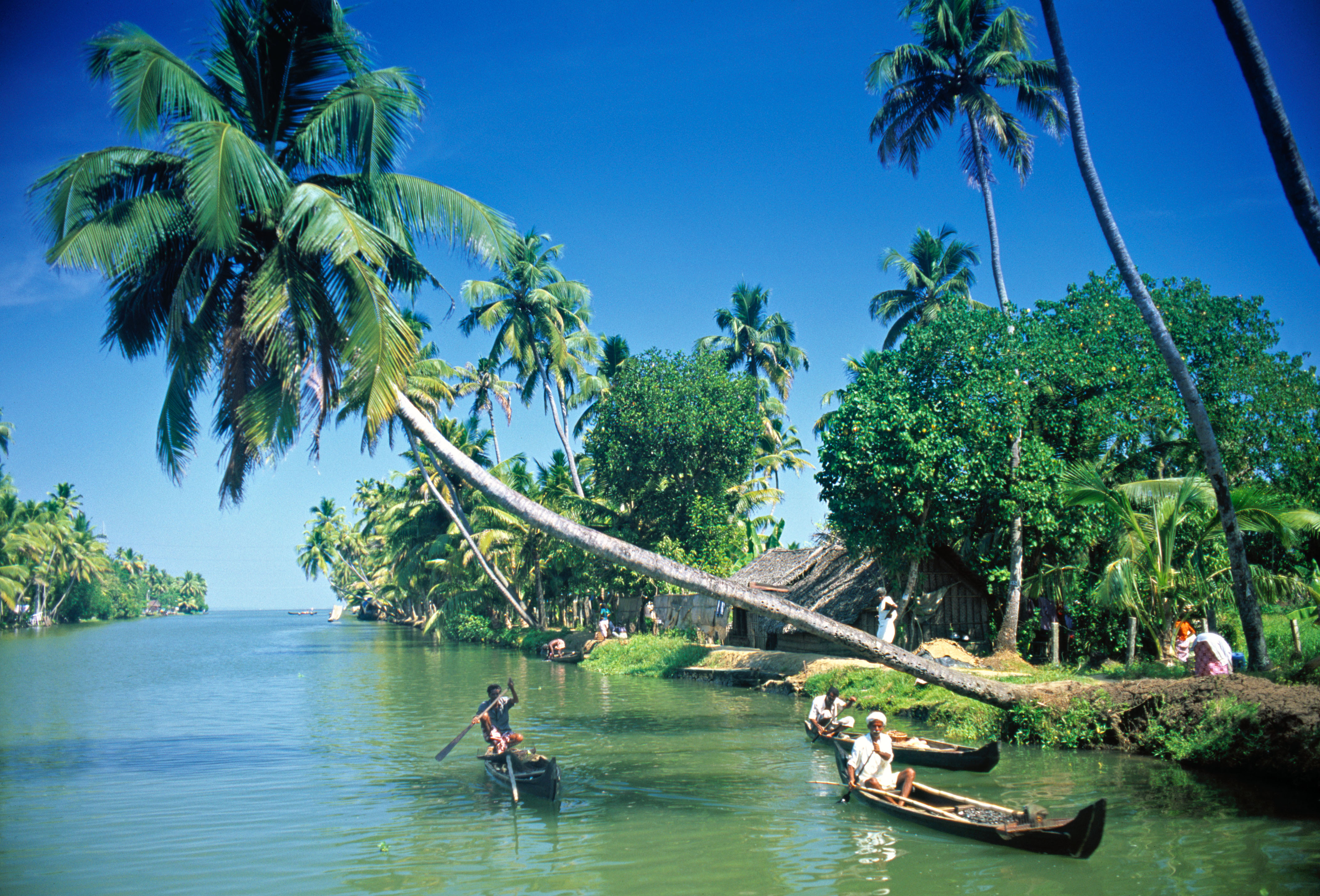 backwaters kerala