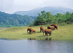 periyar kerala, route map periyar