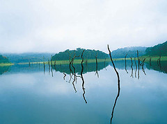 thekkady kerala