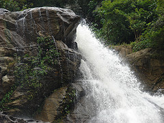 wayanad