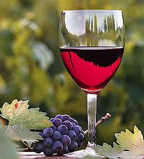 indian wine tours