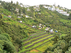 Kodaikanal hotels