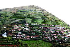 ooty mountain train