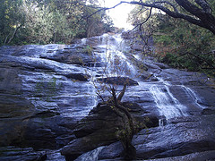 Yercaud